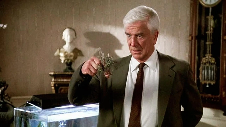 100 самых смешных и лучших кинокомедий по версии журнала Variety | Источник: кадр из кинофильма