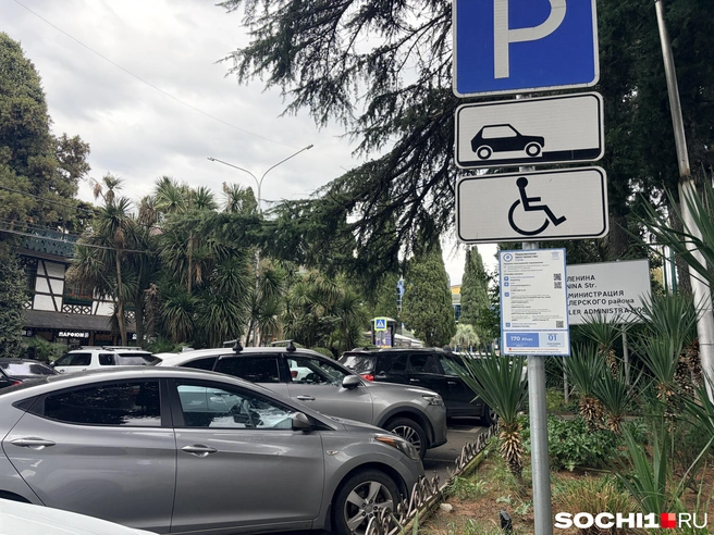 Платных парковок станет больше | Источник: Анна Грицевич / SOCHI1.RU