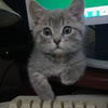 userpic__Алена