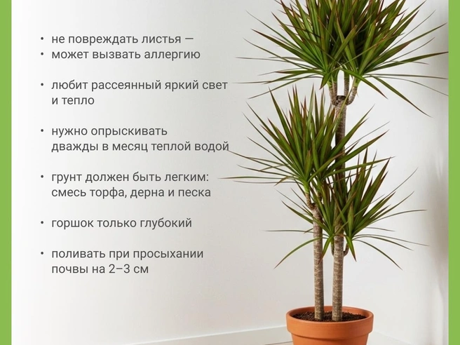 Источник: Юрий Орлов / Городские медиа