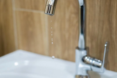 Rostov Water Supply Cut, Scientists Propose Fish Breeding