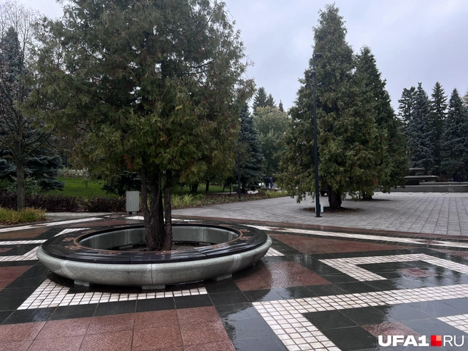 Стильная скамейка | Источник: Андрей Бирюков / UFA1.RU