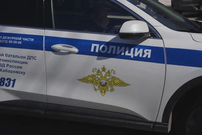 Житель Хабаровска ударил прохожего палкой за замечание