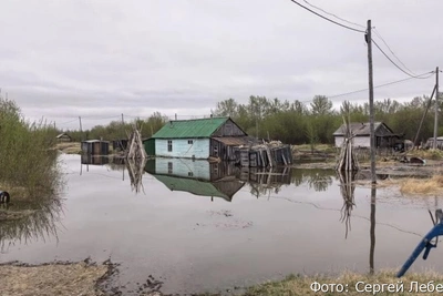 Грунтовые воды подтопили три дома в камчатском селе