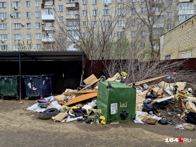 Коммунальщики и мусорщики постоянно спорят даже о том, кто должен ставить баки на место | Источник: Виктория Федорова / 164.RU