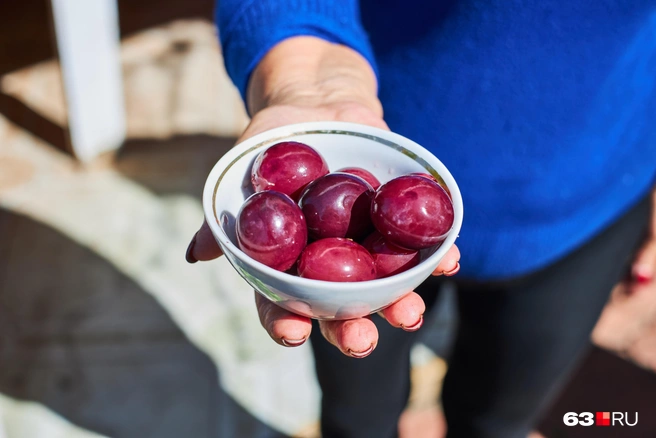 Так выглядит маринованный виноград | Источник: Роман Данилкин / 63.RU