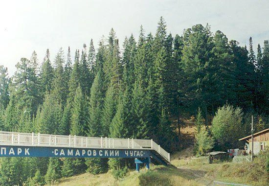 Природный парк «Самаровский чугас» немного обновили: снесли дома, а вместо них установили спортивную площадку, сделали лестницу до Воскресенского кафедрального собора, добавили деревянные заборы и уличные фонари | Источник: Ольга Маховикова / Vk.com