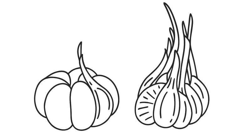 Аккомодация | Источник: Sora