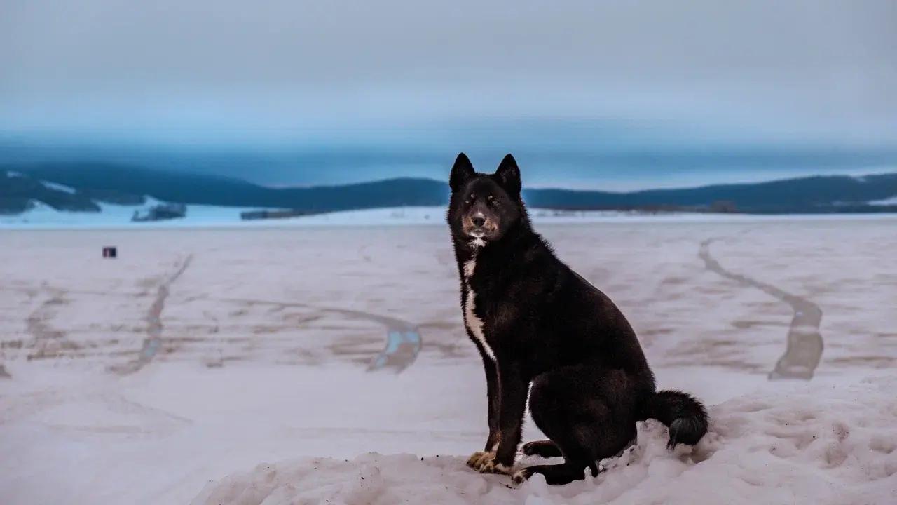 Новое месторождение нефти в Башкирии выставили на продажу — что не так