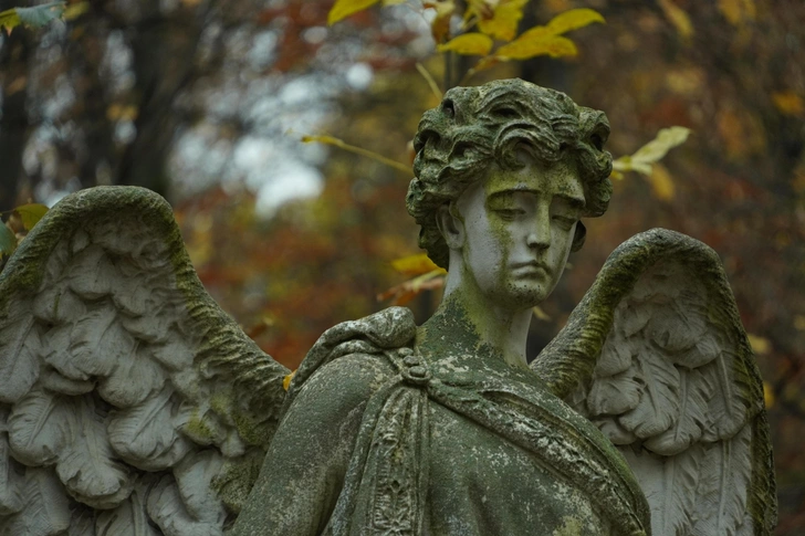 Загадочные склепы, ангелы и плакальщицы: 3 самых красивых кладбища Москвы
