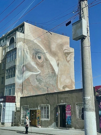 Такие рисунки на домах в городах  | Источник: предоставлено Натальей Варфоломеевой 