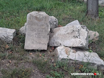 Источник: Алёна Воропаева / Voronezh1.ru