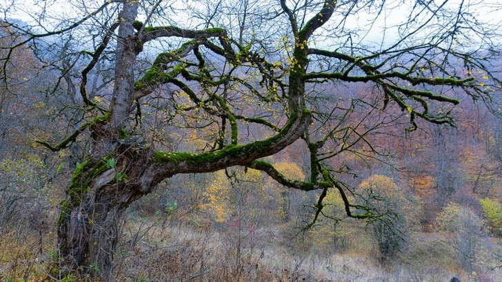 Источник: Stanislav Zaikin/Shutterstock/Fotodom.ru