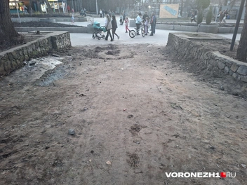 Источник: Алёна Воропаева / Voronezh1.ru