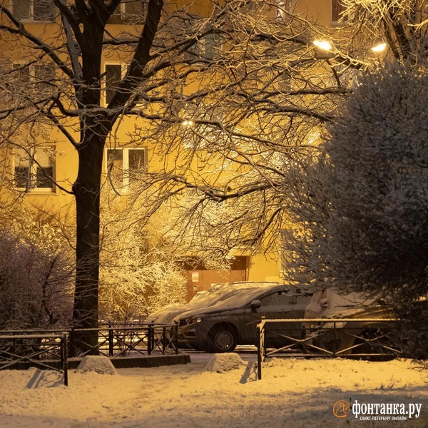 Источник: Сергей Николаев / «Фонтака.ру»