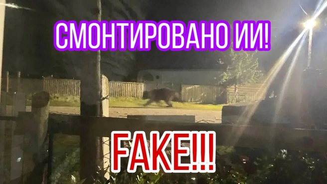 Фейки заполонили интернет-пространство | Источник: Геннадий Осодоев / Telegram