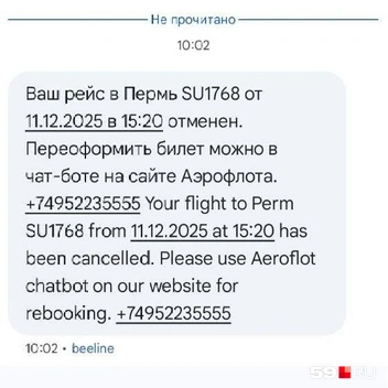 Источник: Ольга Якунчева / 59.RU