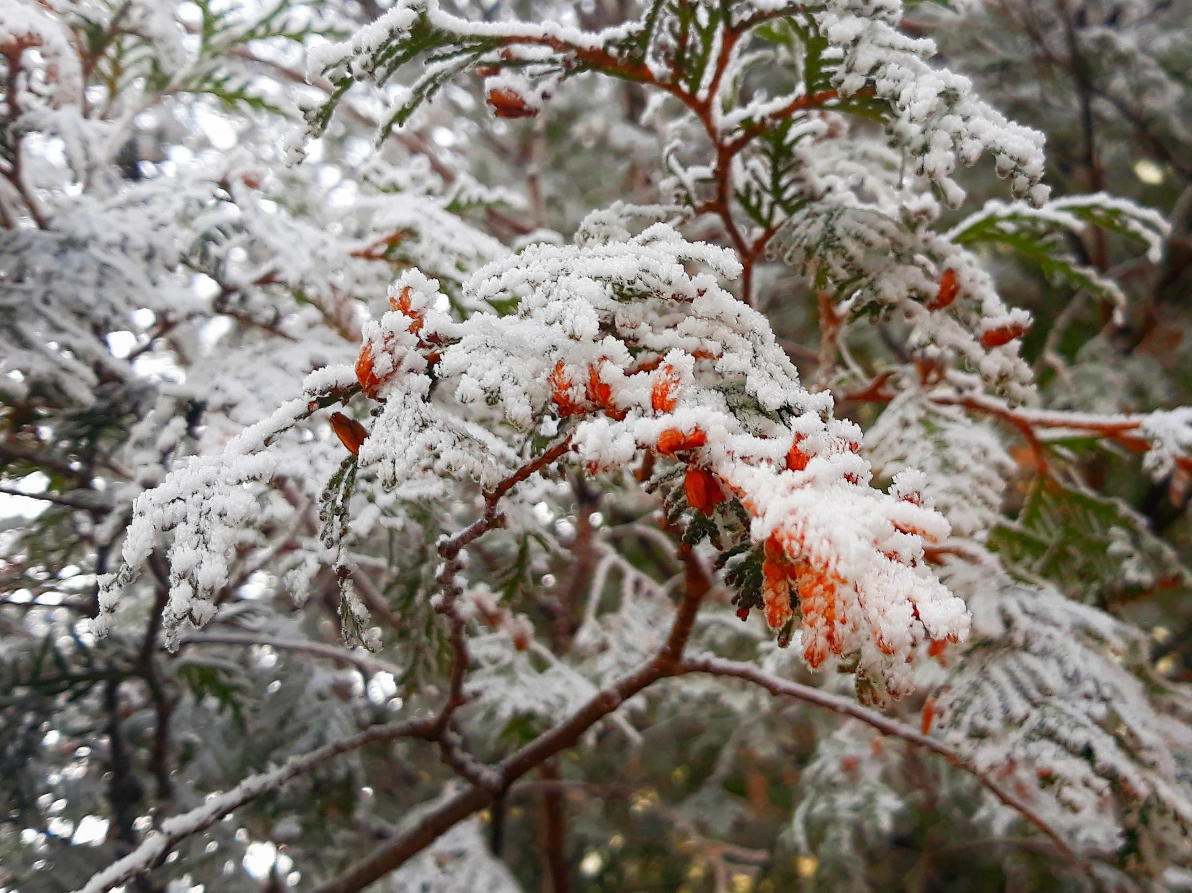 Когда в Самарской области установится отрицательная температура — прогноз синоптиков