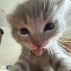 userpic__vlasovaanast