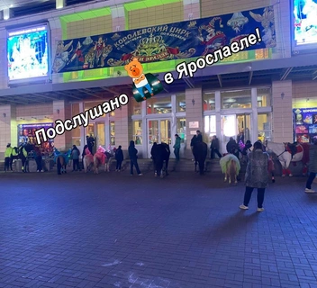 Детям предлагали покататься | Источник: ПОДСЛУШАНО в ЯРОСЛАВЛЕ / Vk.ru