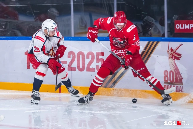 Источник: Евгений Вдовин / 161.RU