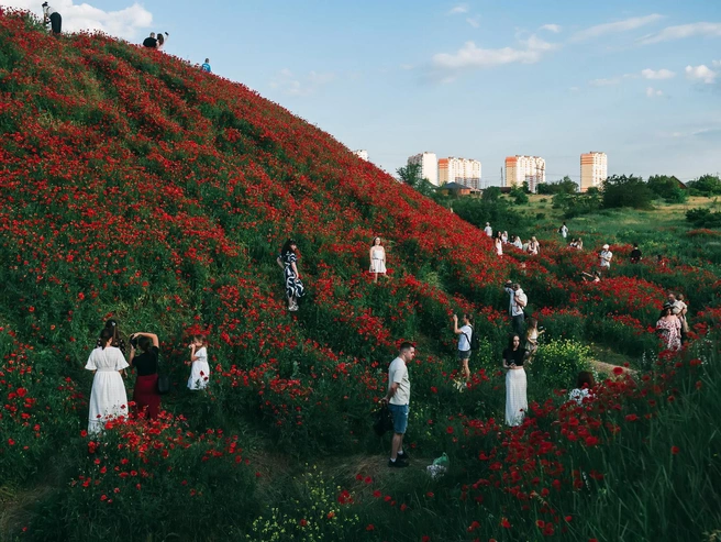 Каждый доступный участок использовался для фотосъемки | Источник: Евгений Вдовин / 161.RU