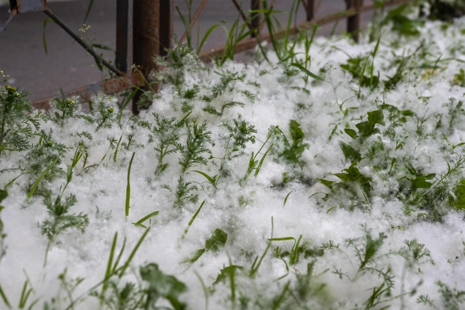 Фото из архива | Источник: Михаил Огнев / FONTANKA.RU