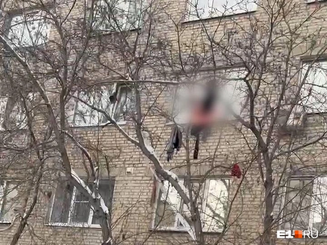 Соседи увидели окровавленное окно и испугались | Источник: читатель E1.RU