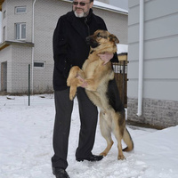 Аватарка alexej.baschakov