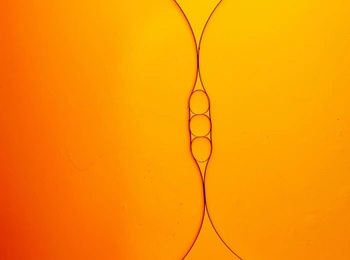 Как один донор спермы стал отцом почти 200 детей и передал смертельный риск развития рака целым поколениям