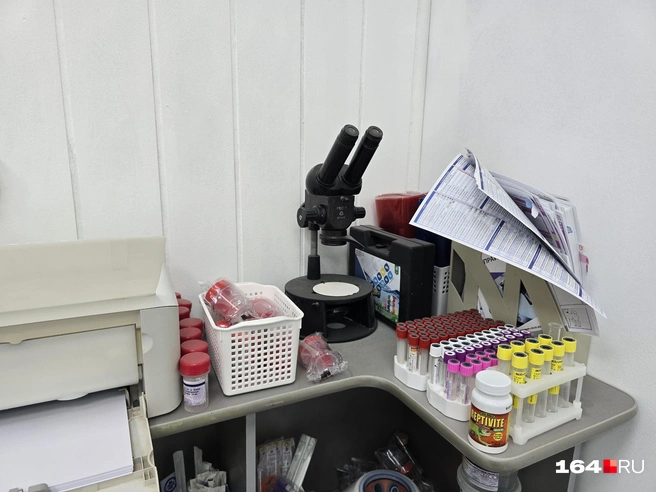 Это микроскоп для мелких объектов | Источник: Семен Коротов-Майбах / 164.RU
