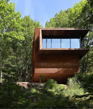 Радикальный модернизм: дом в канадском лесу из стали