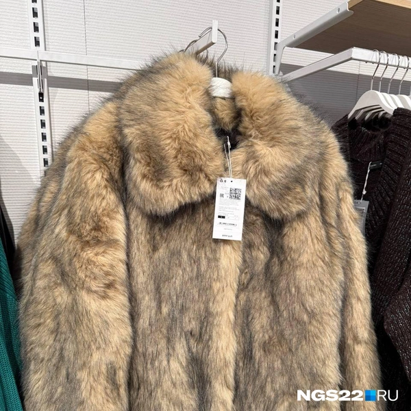 Источник: Полина Шевчукова / NGS22.RU
