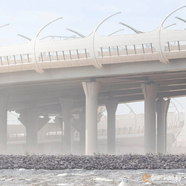 Источник: Сергей Михайличенко / «Фонтанка.ру»