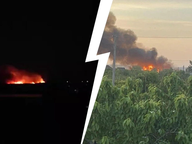 Названа вероятная причина пожара в балке под Волгоградом | volgograd1.ru