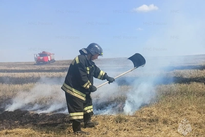 8 возгораний ликвидировали за сутки в Орловской области