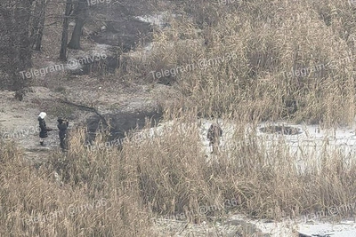«Опасные игры»: детей на тонком льду заметили в Воронеже