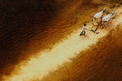 Камбоджа | Источник: Eddie Smith