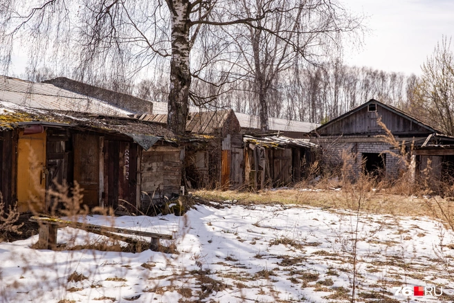 Поодаль стоят покрытые мхом сарайки | Источник: Кирилл Поверинов / 76.RU