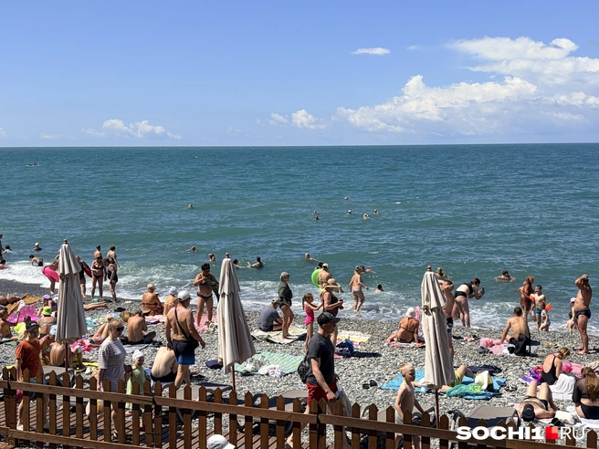 Люди экономят на лежаках | Источник: Анна Грицевич / SOCHI1.RU