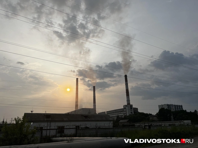 Завод построят до конца 2027 года | Источник: Алиса Князева / VLADIVOSTOK1.RU