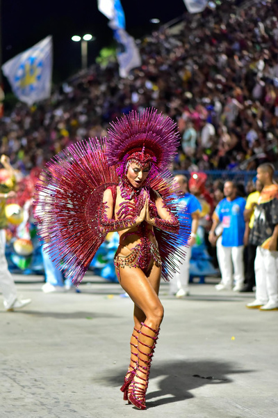 Самые сексуальные наряды бразильского карнавала (фото)