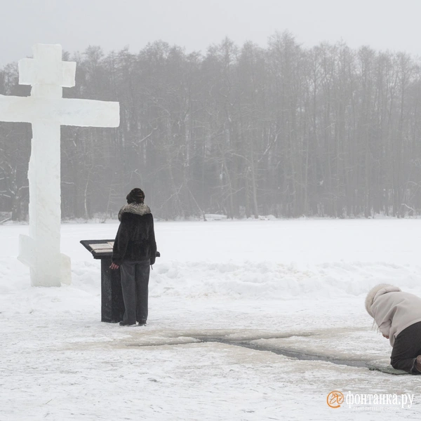 Источник: Андрей Бок / «Фонтанка.ру»