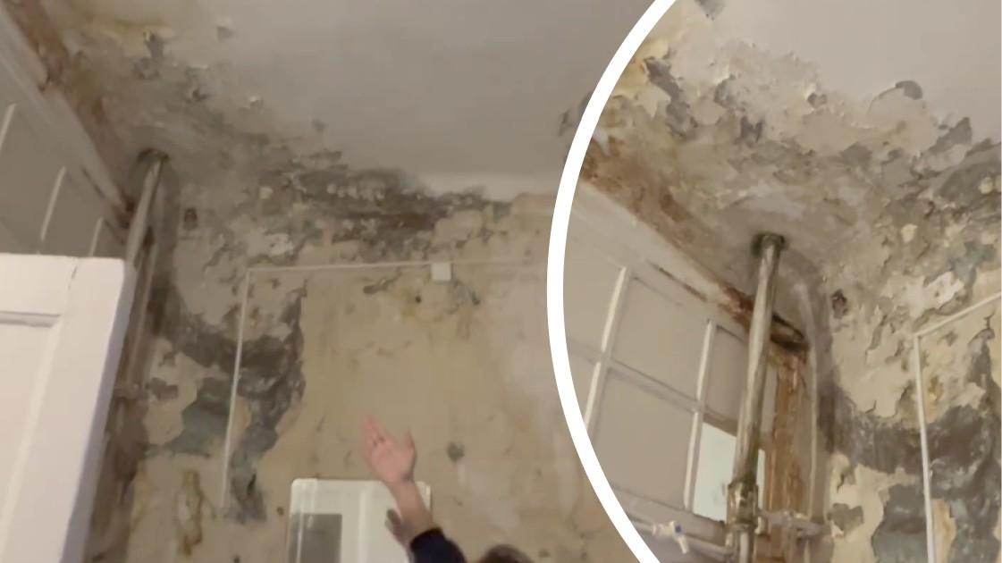 «Молимся, чтобы не обрушилось»: пророческое видео из общежития возле Гостиного двора, где случилось ЧП