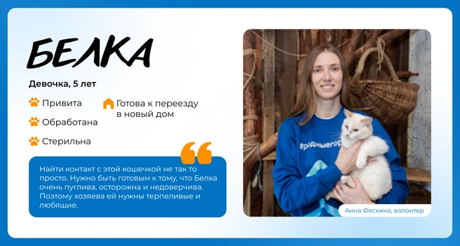 Источник: Василиса Молахова, Евгений Шаров