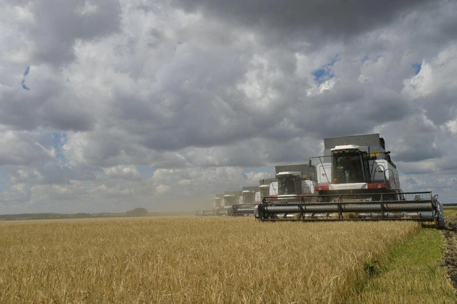 Сбор зерна набирает обороты | Источник: Пресс-служба губернатора Саратовской области