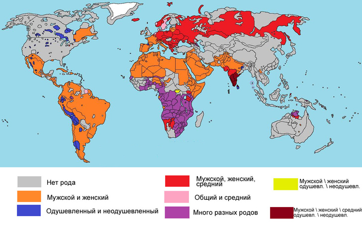 Карта: В каких языках существует женский и мужской род, а в каких — нет