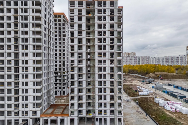 Источник: Брусника 