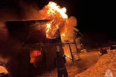 Снегопад помешал спасти детей на пожаре под Воскресенском