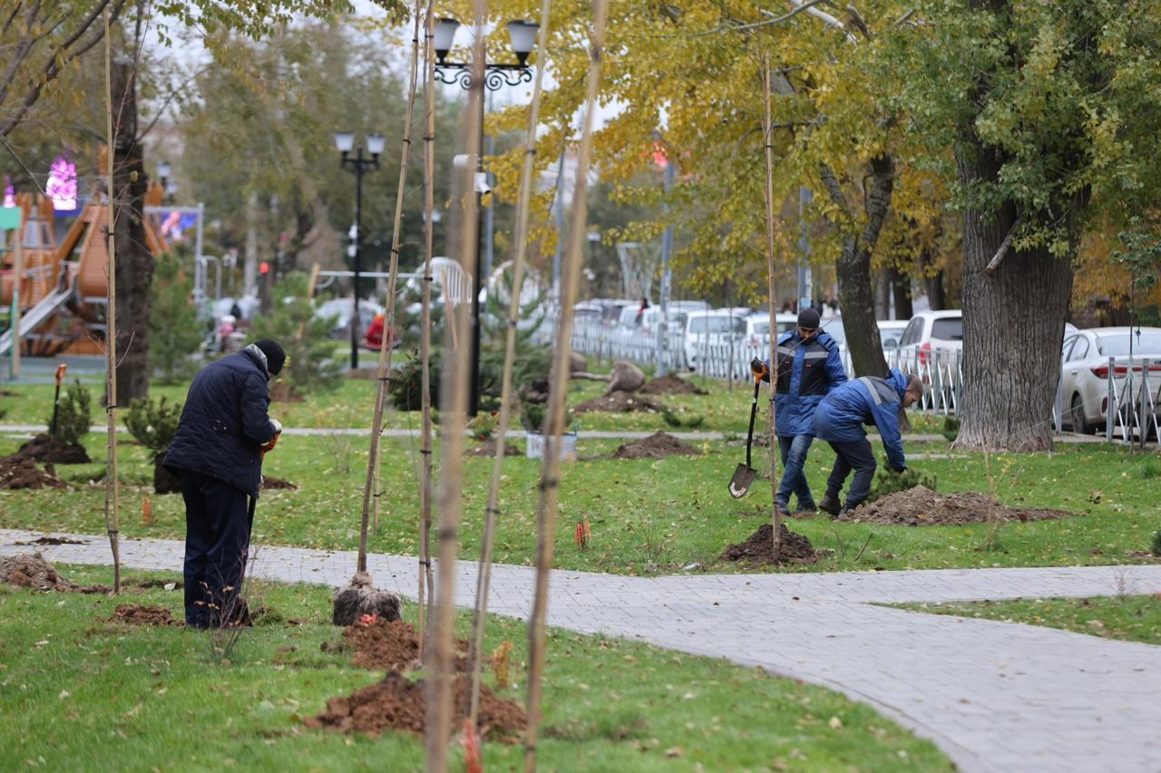 В сквере «Мы вместе» в центре Волгограда внезапно начали сажать деревья